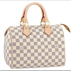 Louis Vuitton speedy bag