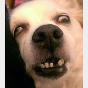 Meet your Posher, Jordonna a