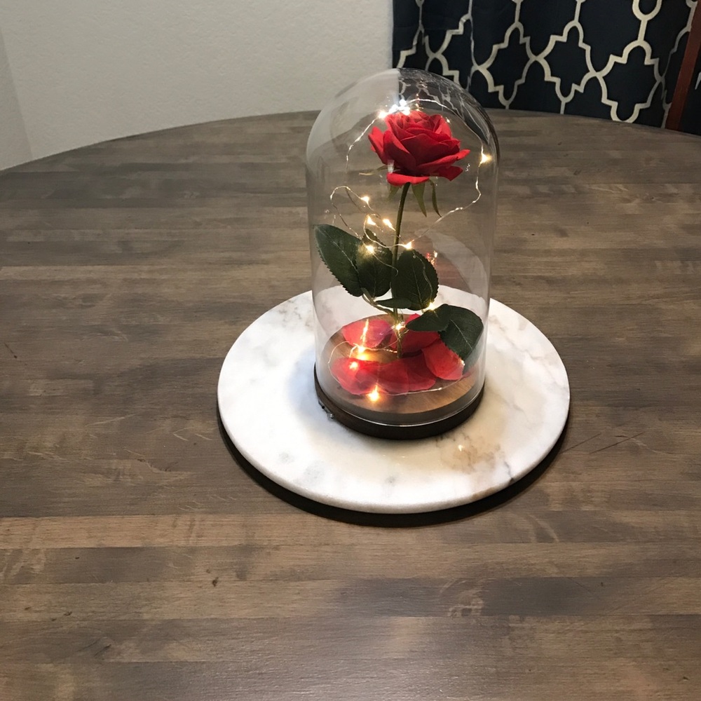 Inspired Beauty and the Beast Rose...
