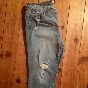 Torrid jeans