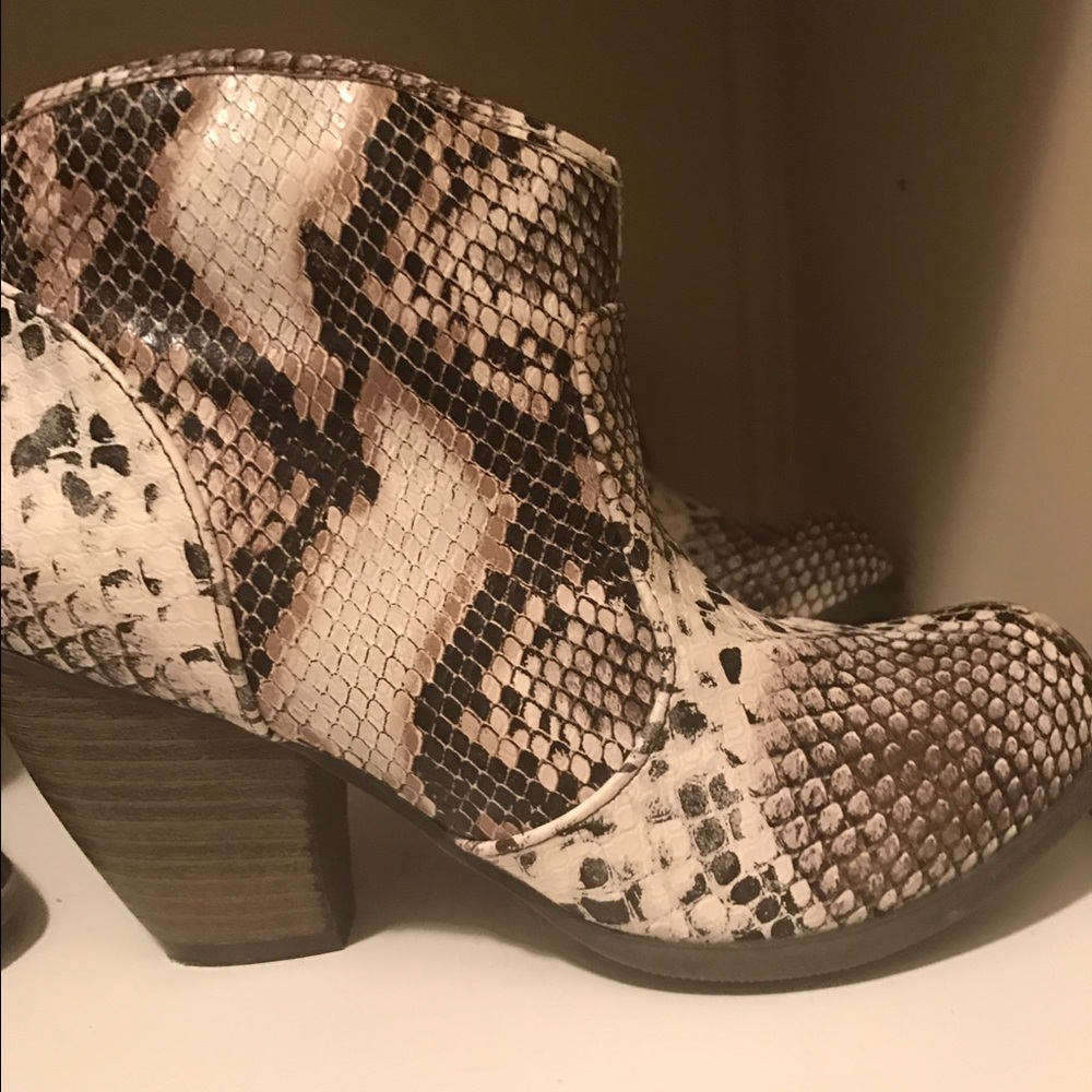 Snakeskin booties