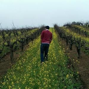 Meet your Posher, Phillip