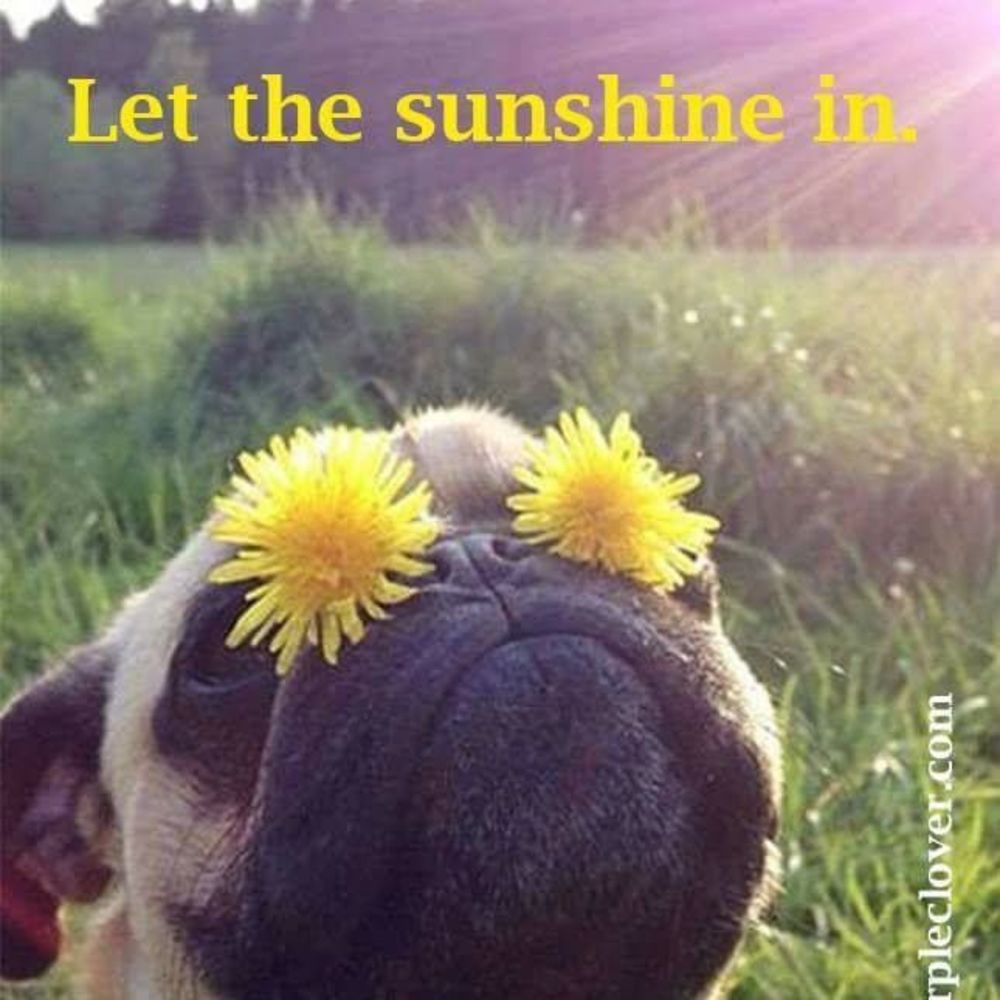 Meet your Posher, NannyBenny