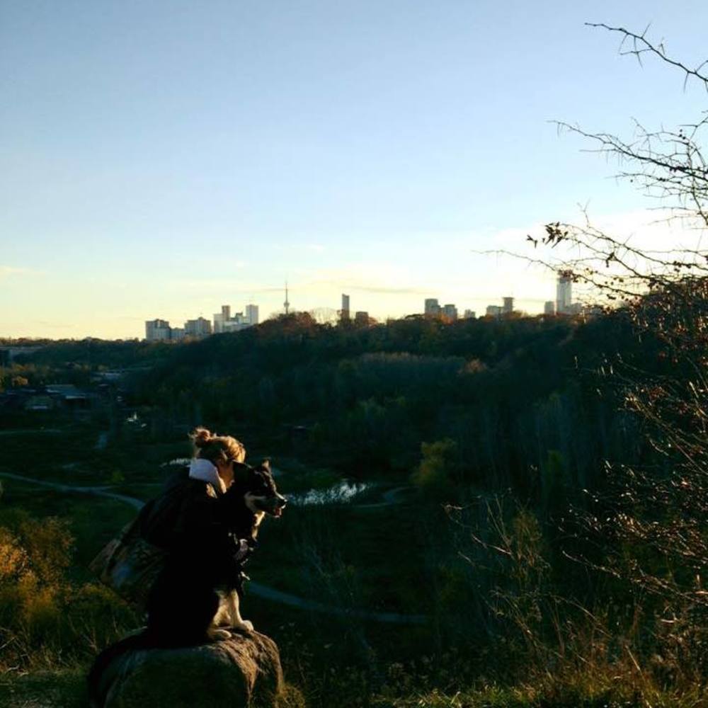 Meet your Posher, Maddie