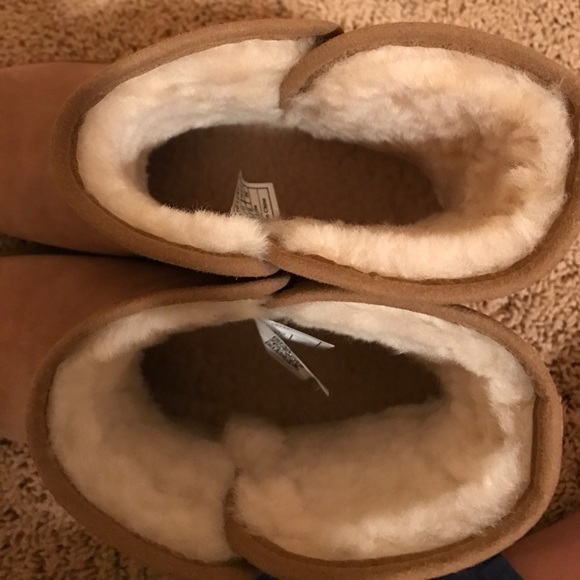 ugg evera mauve ugg evera mauve