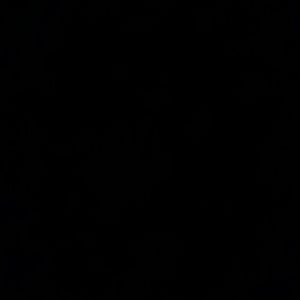 Meet your Posher, Myles