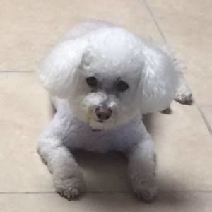 Meet your Posher, Sun hui