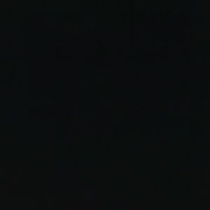 Meet your Posher, Hector