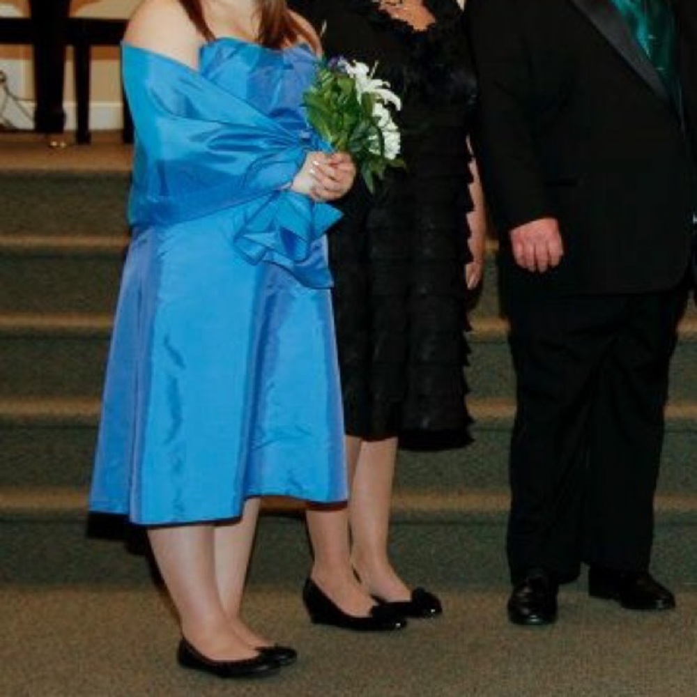 Davids Bridal Bridesmaid Dress Size 20