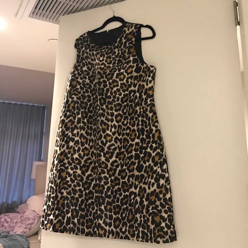 J crew Tea Length Dress - LAST WEEK ON SALE