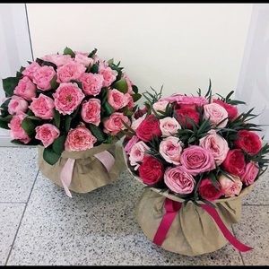 Meet your Posher, Majeda