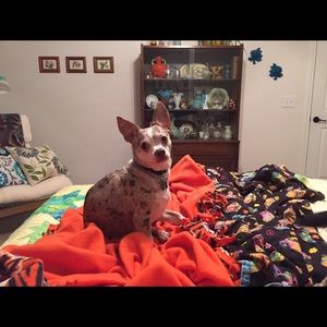 Meet your Posher, Kate