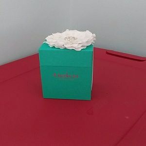 Tieks box and flower elastic