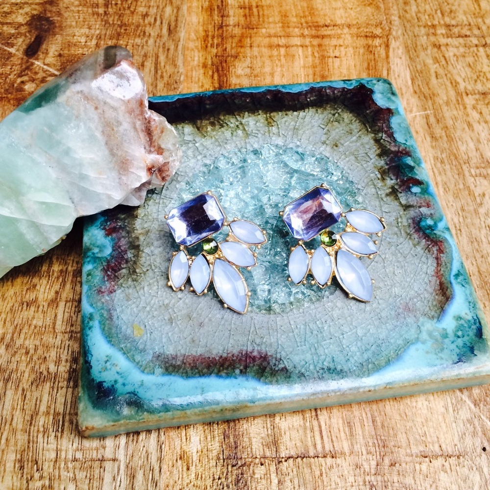 Jewel Earrings