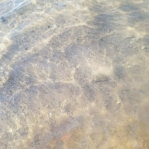 Meet your Posher, Heidi