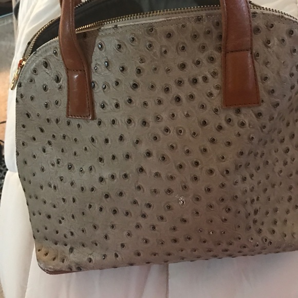 Authentic Valentina - Picture 2 of 4