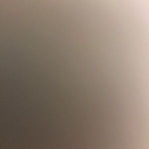 Meet your Posher, Deshonbria