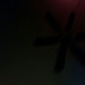 Meet your Posher, Gina