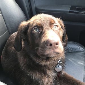 Meet your Posher, Anna