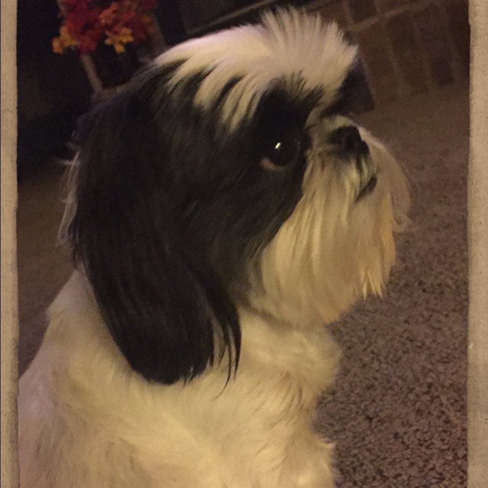 Meet your Posher, Trinity