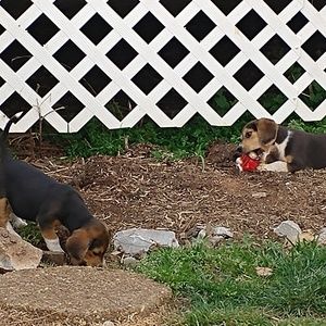 Meet your Posher, Clint