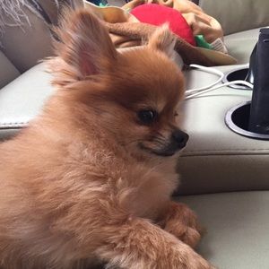 Meet your Posher, Catherine