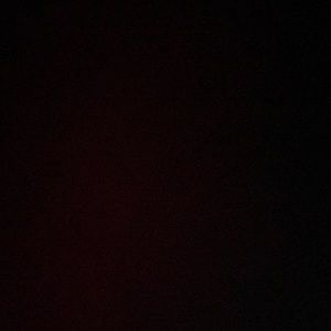 Meet your Posher, Rubi