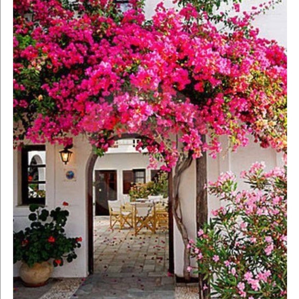 Meet your Posher, Monica