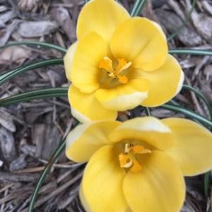 Meet your Posher, Jenny