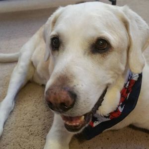 Meet your Posher, Terry