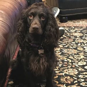 Meet your Posher, Leslie