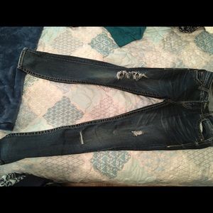 Daytrip Lynx Skinny Jeans