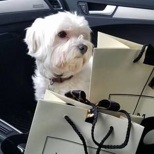 Meet your Posher, Young