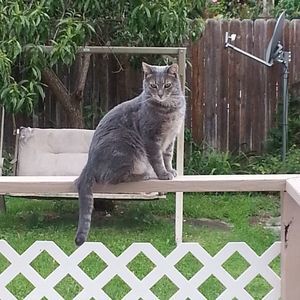 Meet your Posher, Nova lee