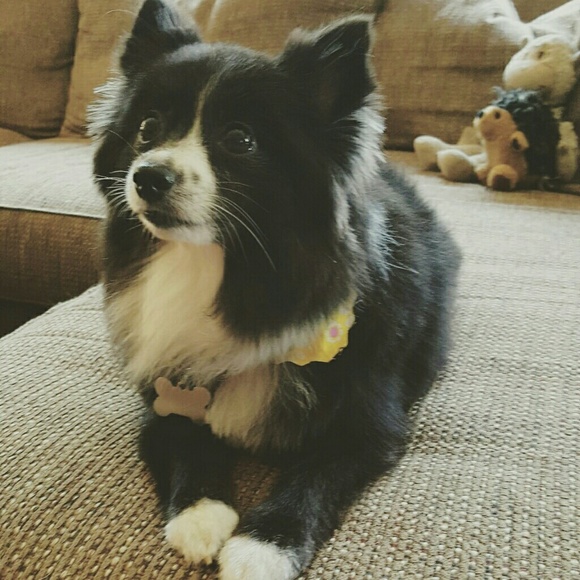 Meet your Posher, Sarah - Picture 2 of 2