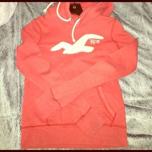 Hollister sweater