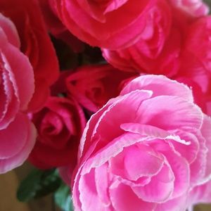 Meet your Posher, Desaree