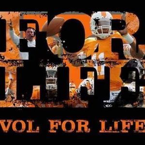 Meet your Posher, Katrina