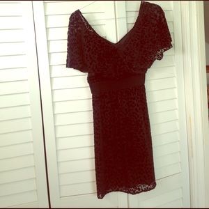 Flutter sleeve black knee length dress