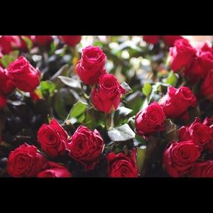 Meet your Posher, Deb