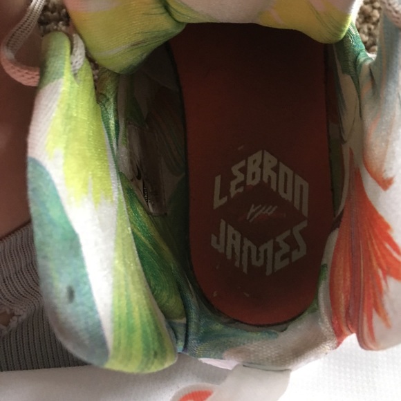 Hawaiian LeBron 13s - Picture 2 of 4