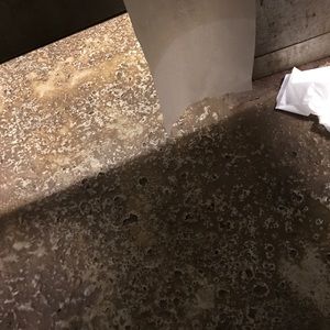 Meet your Posher, Dontrell