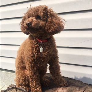 Meet your Posher, Aleksandra