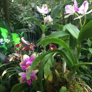 Meet your Posher, Debbi