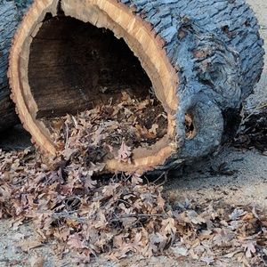 Meet your Posher, Define_Finds