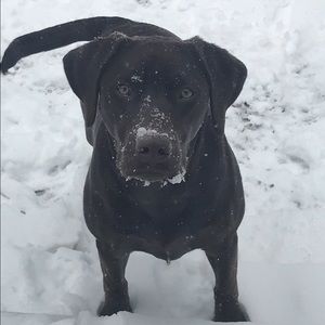 Meet your Posher, Eric