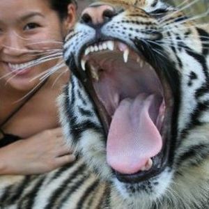 Meet your Posher, Tam