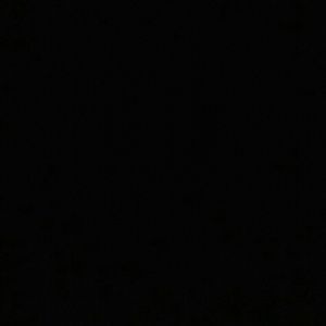 Meet your Posher, Jada