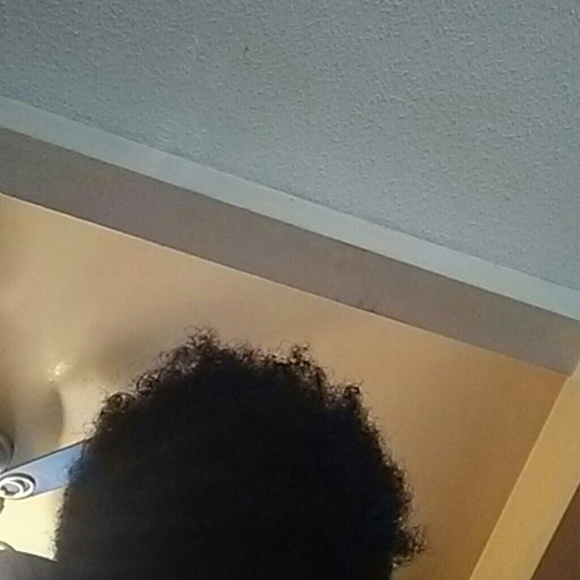 Meet your Posher, Reginald - Picture 1 of 1