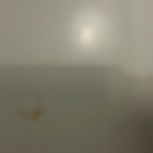 Meet your Posher, Cole